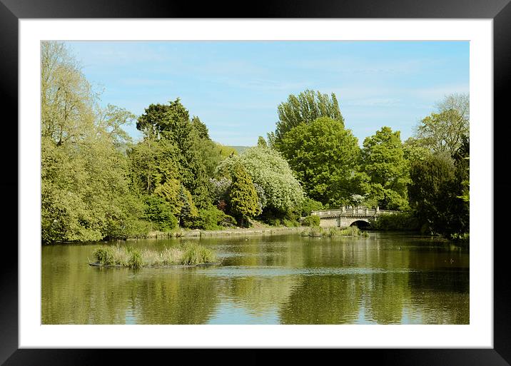 Pittville Park Framed Mounted Print by Gemma Shipley