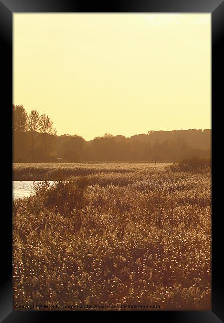 Golden Hour Reeds Framed Print by Wendy Cooper