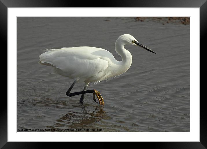Little Egret Out to Lunch Framed Mounted Print by Wendy Cooper