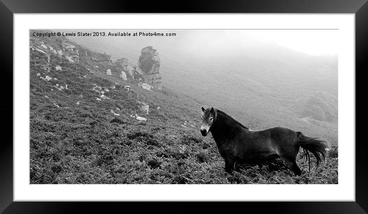 Poser in the Mist Framed Mounted Print by Lewis Slater