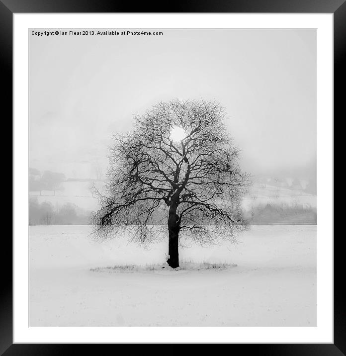 Mystical Tree Framed Mounted Print by Ian Flear