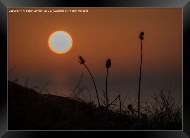 Simplicity Framed Print by Peter Lennon