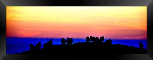 Shepherds view of Donegal Framed Print by Peter Lennon