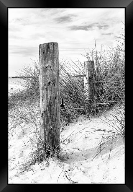 The Dunes Framed Print by Peter Lennon