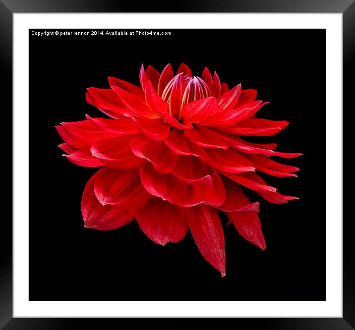 Floating Framed Mounted Print by Peter Lennon