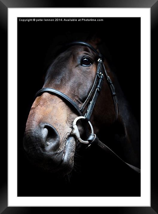  You're A Dark Horse Framed Mounted Print by Peter Lennon