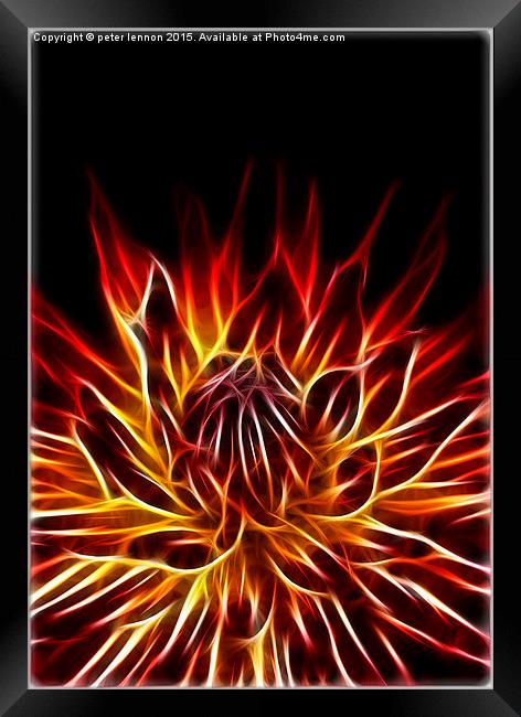 Flaming Fantastic Framed Print by Peter Lennon