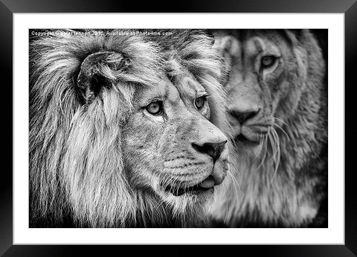  His Majesty Framed Mounted Print by Peter Lennon