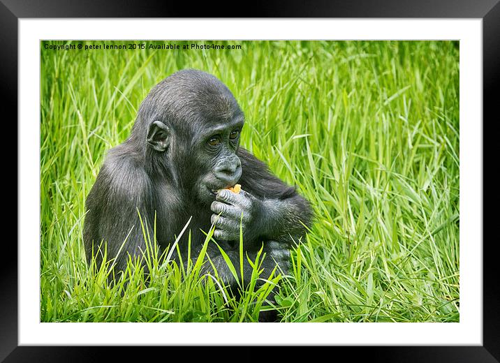  Baby Face Framed Mounted Print by Peter Lennon