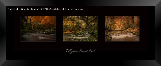 Tollymore Tryptch  Framed Print by Peter Lennon