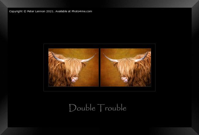 Double Trouble Framed Print by Peter Lennon