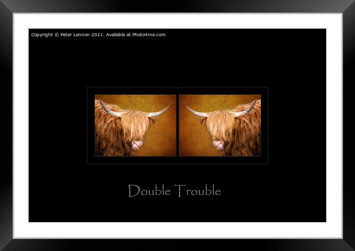 Double Trouble Framed Mounted Print by Peter Lennon