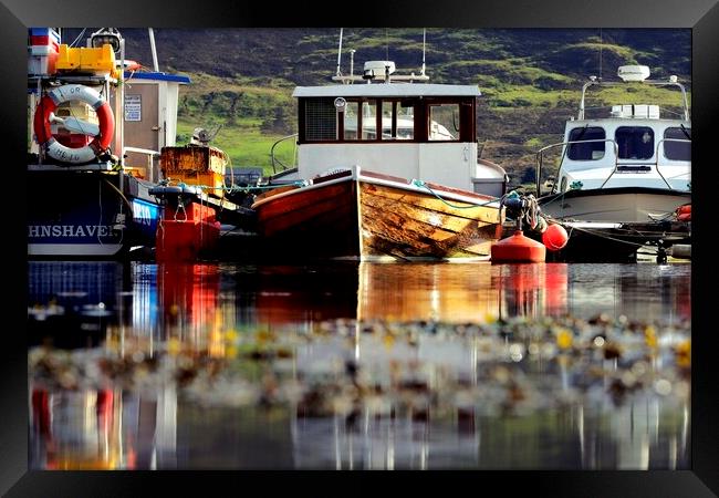 Small Boat Marina, Shetland. Framed Print by Anne Macdonald