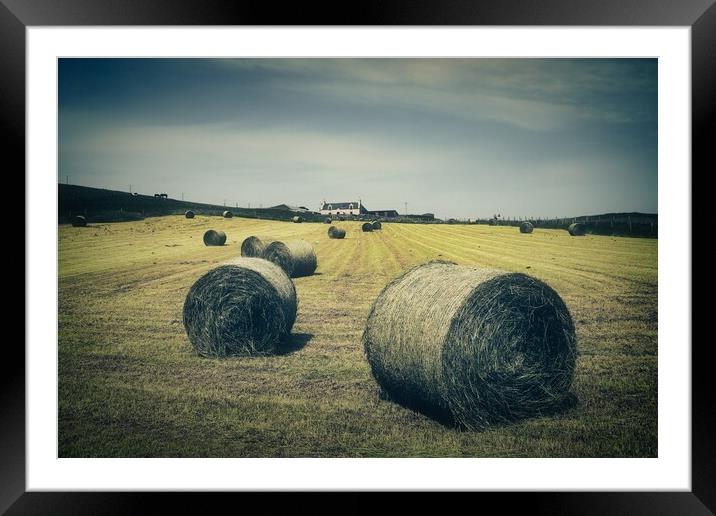 Hay Bales At Berry Farm Framed Mounted Print by Anne Macdonald