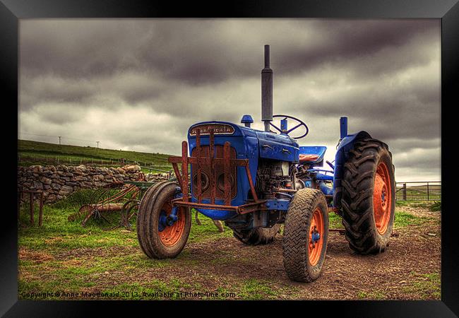 Fordson Super Dexta Tractor Framed Print by Anne Macdonald