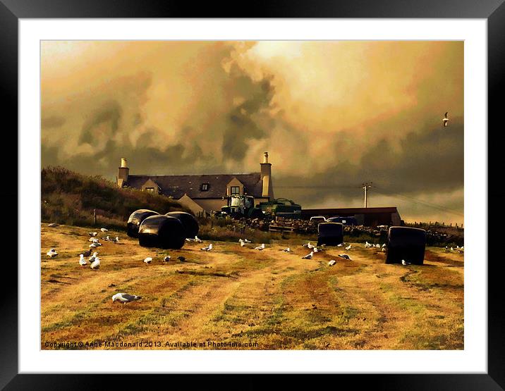 Baling At Berry Farm, Scalloway, Shetland. Framed Mounted Print by Anne Macdonald
