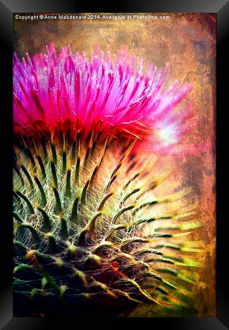  Thistle Be The Prickly One Framed Print by Anne Macdonald
