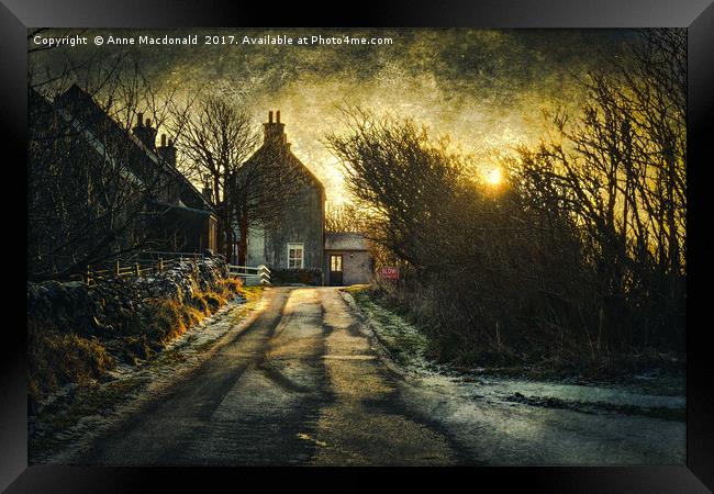 The House In The Trees at Veensgarth, Shetland. Framed Print by Anne Macdonald