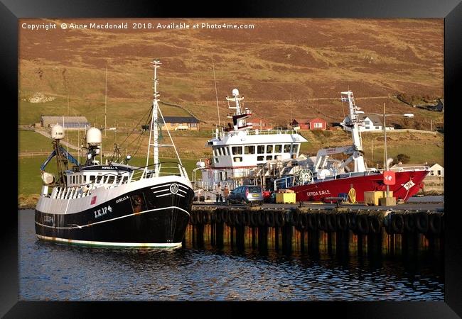 Fishing Boats Blacksness Pier, Scalloway, Shetland Framed Print by Anne Macdonald