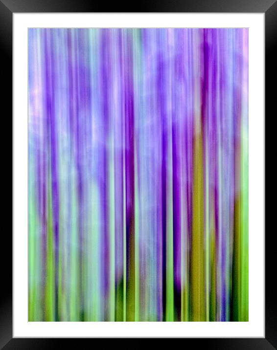 Bluebell Abstract Framed Mounted Print by Anne Macdonald