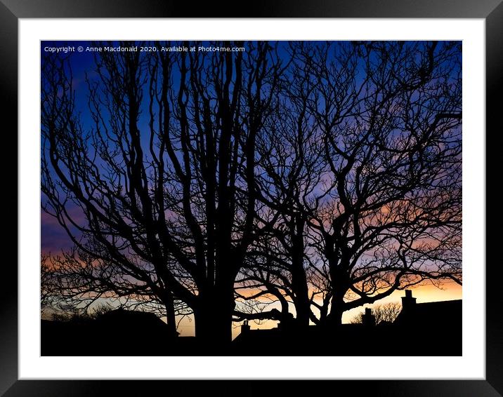 Trees In Silhouette, The Creek, Scalloway. Framed Mounted Print by Anne Macdonald