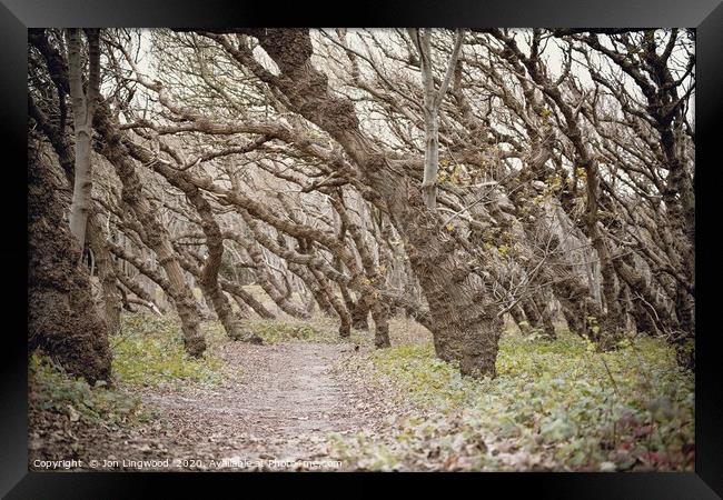 Formby Point Framed Print by Jon Lingwood