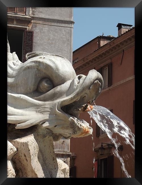 Fontana del Pantheon Framed Print by Samara Stewart