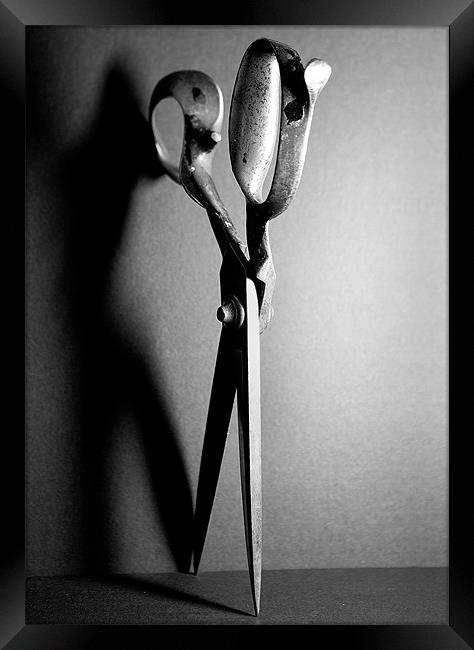Tailor's Scissors Framed Print by Martin Doheny