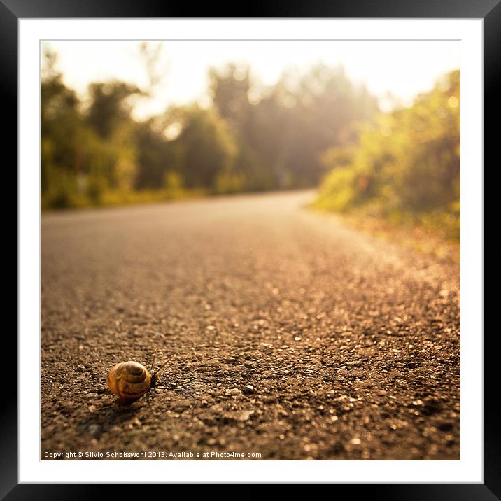 long way home Framed Mounted Print by Silvio Schoisswohl