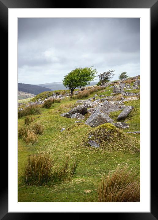 bodmin moor Framed Mounted Print by Silvio Schoisswohl