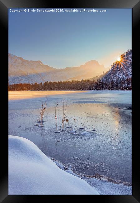  crisp Framed Print by Silvio Schoisswohl