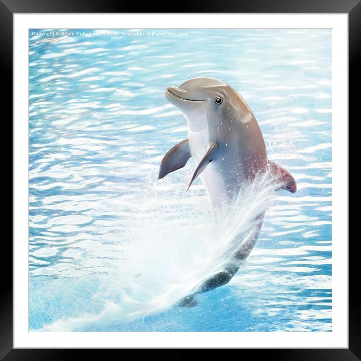  cute dolphin Framed Mounted Print by Silvio Schoisswohl
