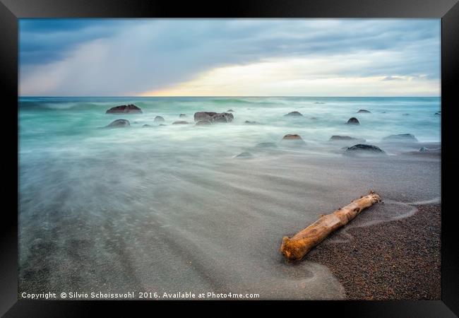 the drift wood Framed Print by Silvio Schoisswohl
