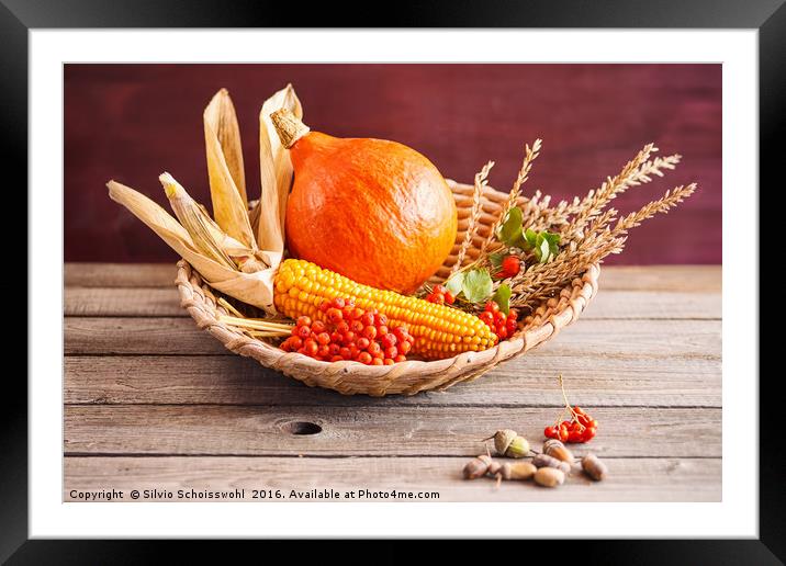 autumnal still life Framed Mounted Print by Silvio Schoisswohl