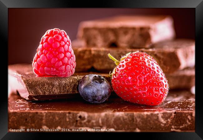 Berries on chocolate (reload) Framed Print by Silvio Schoisswohl