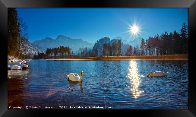 Sunny Winter Framed Print by Silvio Schoisswohl