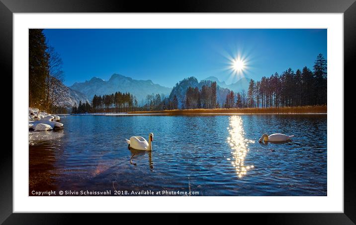 Sunny Winter Framed Mounted Print by Silvio Schoisswohl