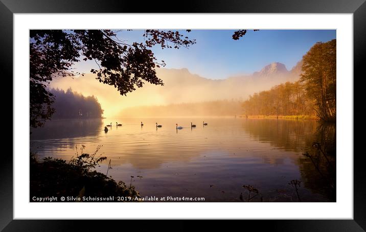 peaceful morning Framed Mounted Print by Silvio Schoisswohl
