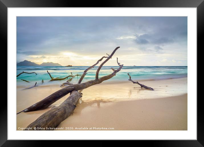 seychelles lost in time Framed Mounted Print by Silvio Schoisswohl