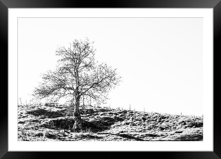 The Enigmatic Solitude Framed Mounted Print by P D