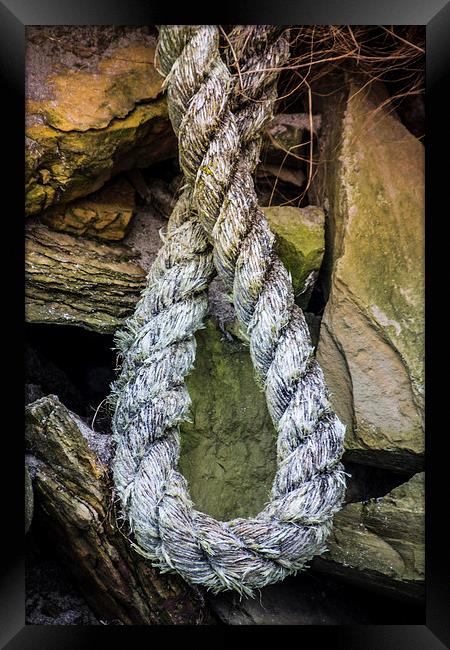 The Lonely Hemp Stranded on the Rocks Framed Print by P D