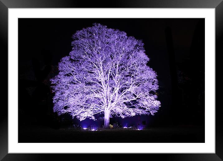 Tree at Night Framed Mounted Print by Simon Cadby