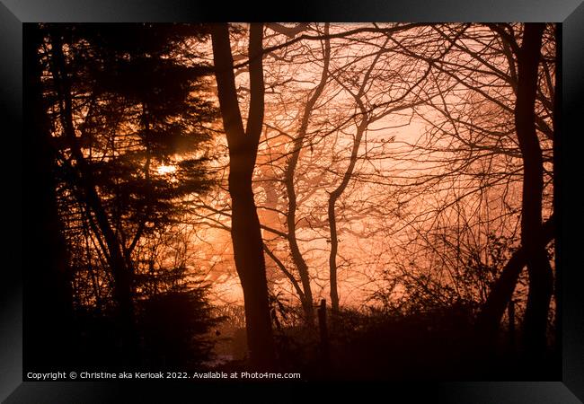Winter sun lighting up the fog and silhouetting tr Framed Print by Christine Kerioak