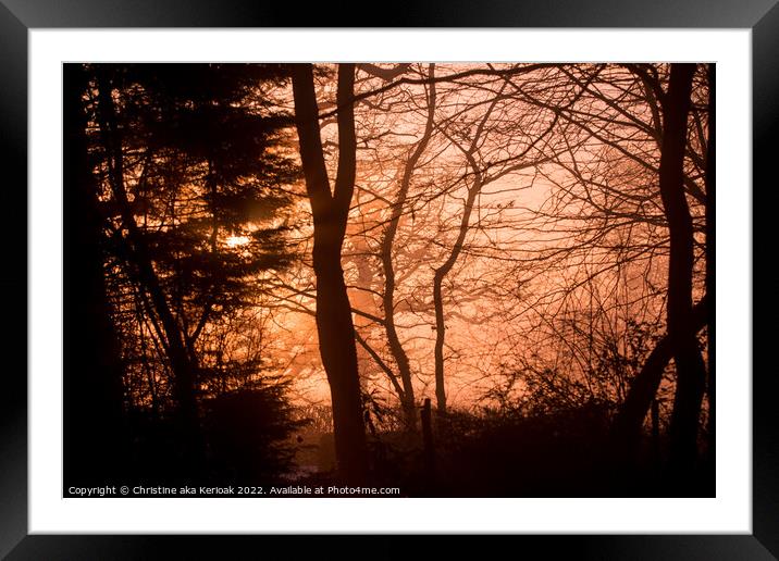 Winter sun lighting up the fog and silhouetting tr Framed Mounted Print by Christine Kerioak