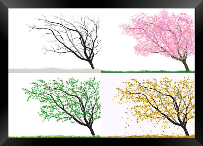 Tree in All Seasons Framed Print by Christine Kerioak