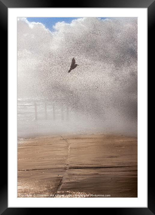 Gull Caught in a Wave Framed Mounted Print by Christine Kerioak