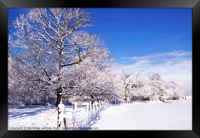 Dividing Fence in Snow Covered Fields Framed Print by Christine Kerioak