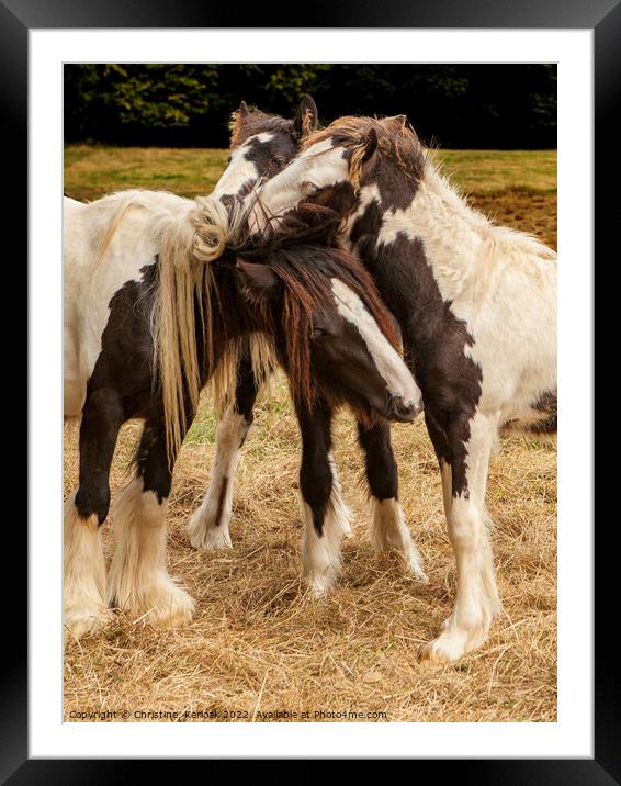 Yes. That's the Itchy Bit Framed Mounted Print by Christine Kerioak