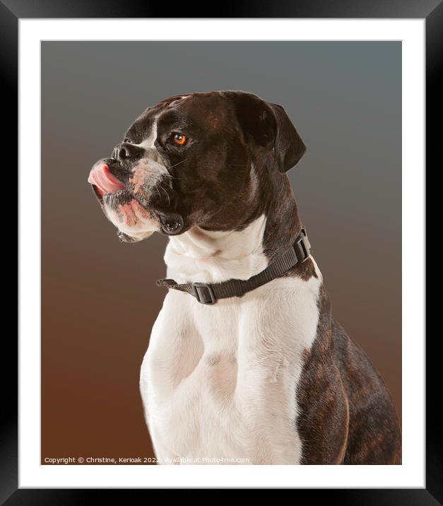 Boxer Licking Lips Framed Mounted Print by Christine Kerioak
