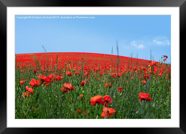Hill of Poppies Framed Mounted Print by Christine Kerioak